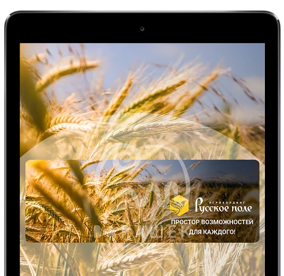 Автоматизация бизнеса. Внедрение 1С Экстрактора в агрохолдинг "Русское поле"