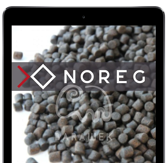 От простого способа выгрузки данных из 1С до аналитических целей: компания Норег