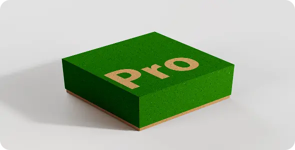 Pro