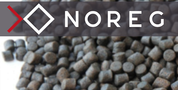 От простого способа выгрузки данных из 1С до аналитических целей: компания Норег