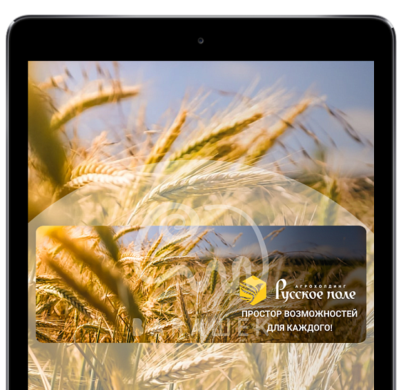 Автоматизация бизнеса. Внедрение 1С Экстрактора в агрохолдинг "Русское поле"