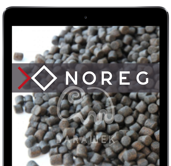 От простого способа выгрузки данных из 1С до аналитических целей: компания Норег